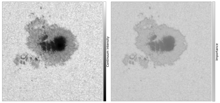 illustration of mutual information neural estimator architecture applied to IRIS spectra