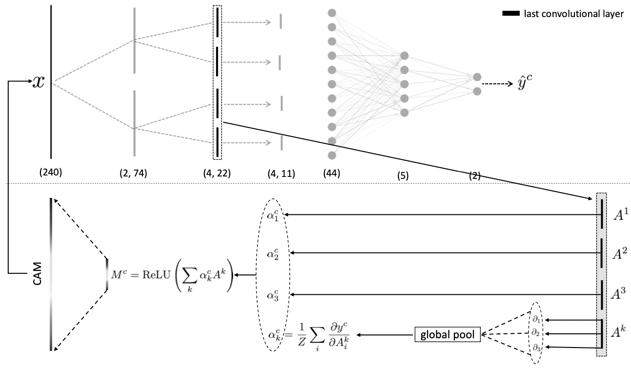 illustration of mutual information neural estimator architecture applied to IRIS spectra